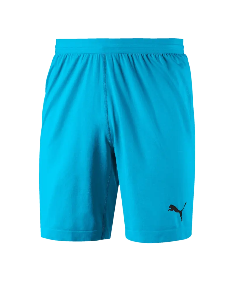 Short PUMA FINAL evoKNIT GK