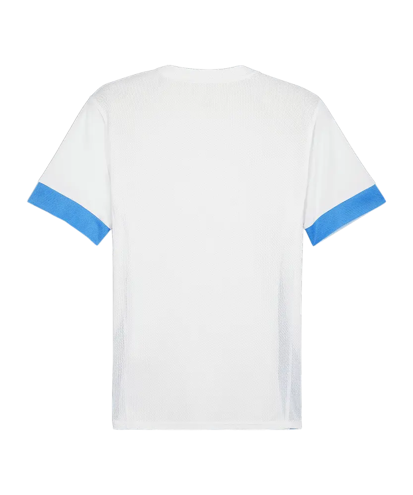 Maillot PUMA teamGOAL Matchday
