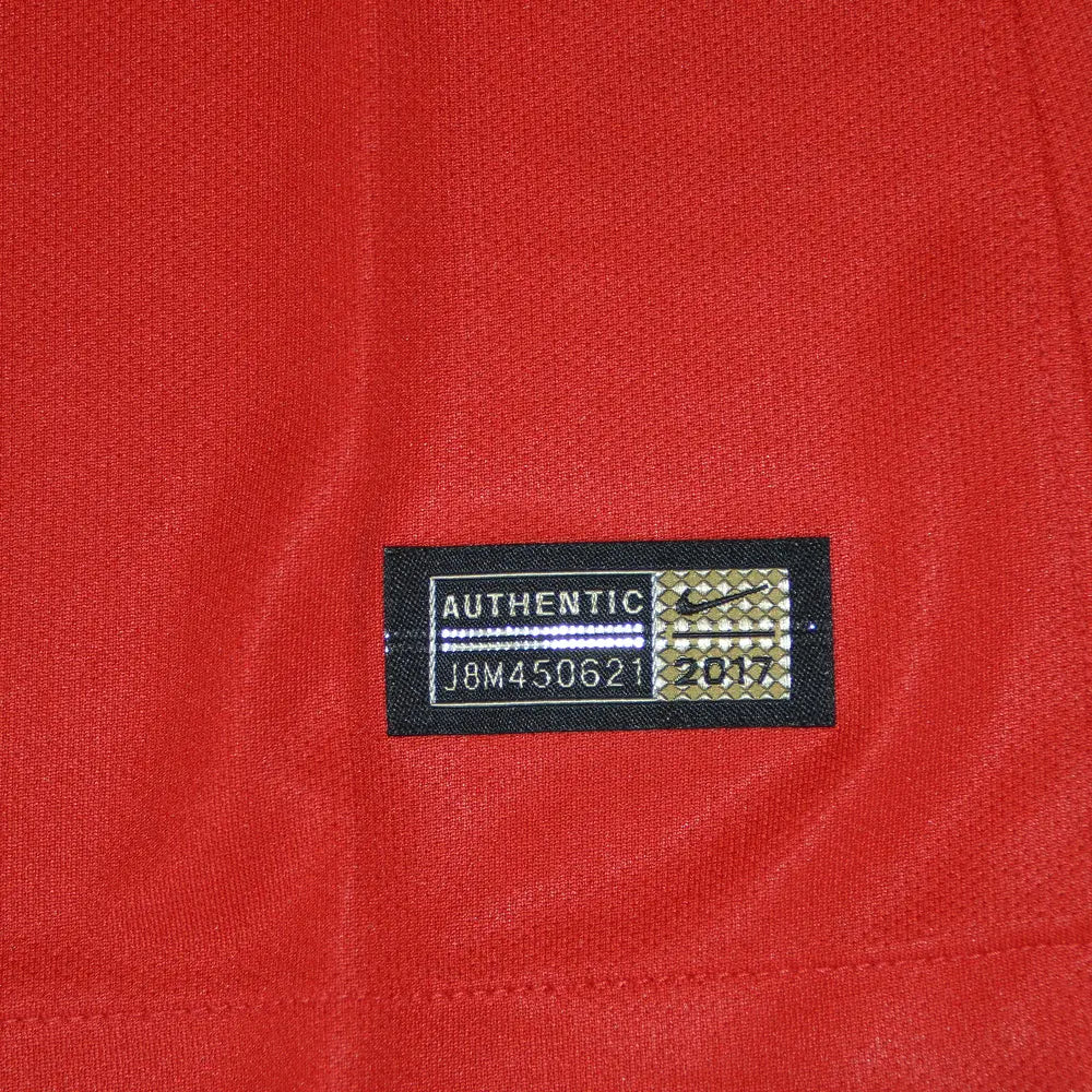 Nike Promo GK-Jersey l/s (red)