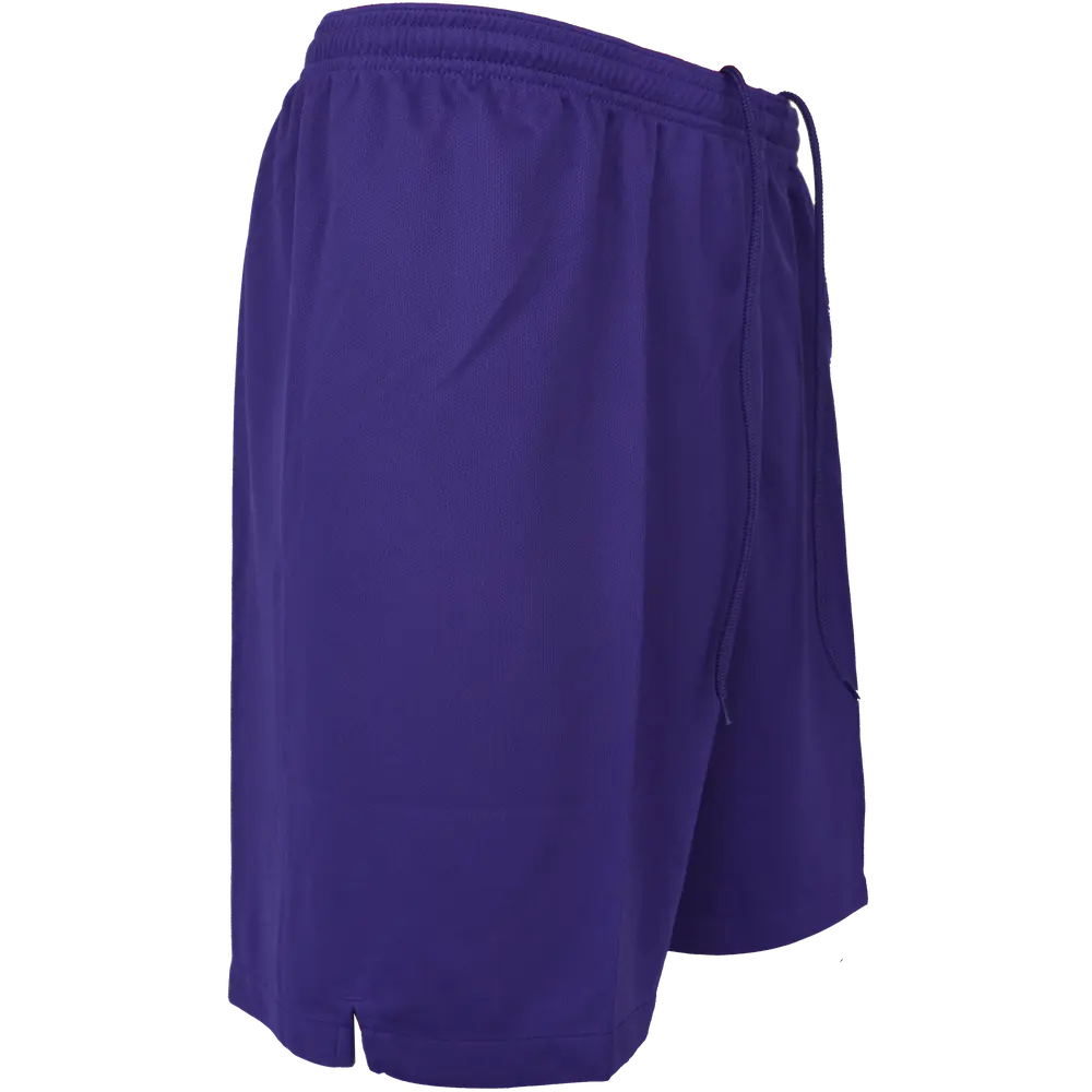 NIKE Promo GK-Short (purple)