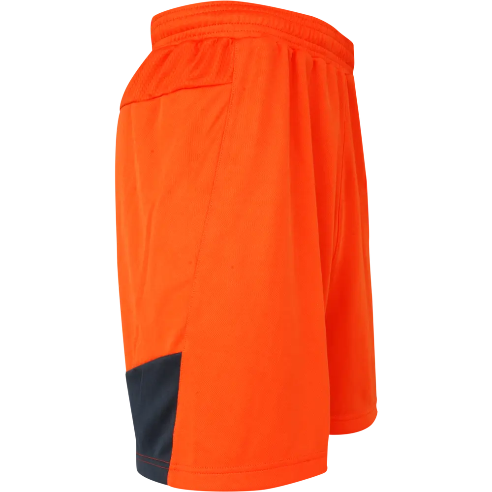 Pantaloni corti da portiere PUMA Stadium